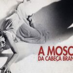 A Mosca da Cabeça Branca