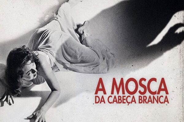 A Mosca da Cabeça Branca