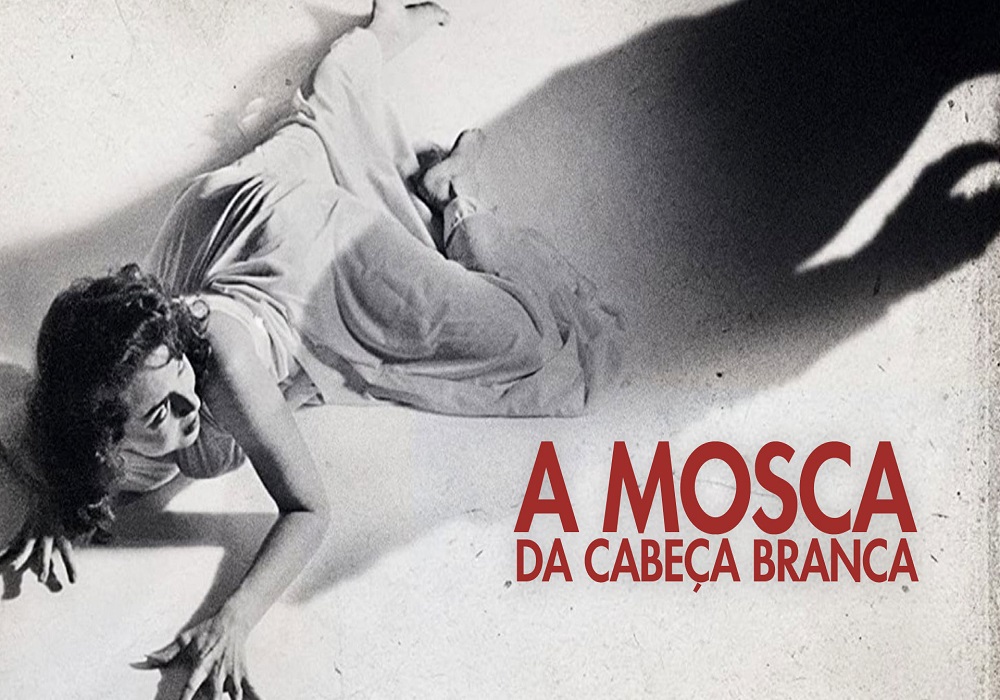 A Mosca da Cabeça Branca